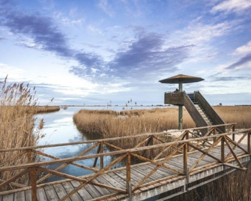 Laguna La Tancada Delta del Ebro